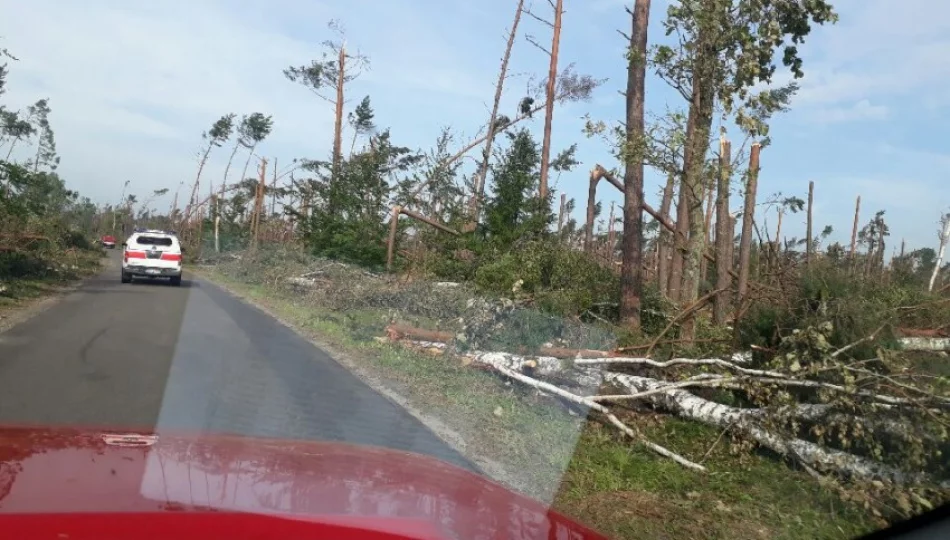 Limanowscy strażacy pomagają w usuwaniu skutków wichur na Pomorzu - zdjęcie 1