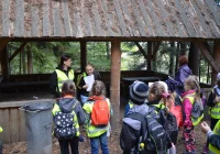 Zajęcia w leśnej szkole - zdjęcie główne