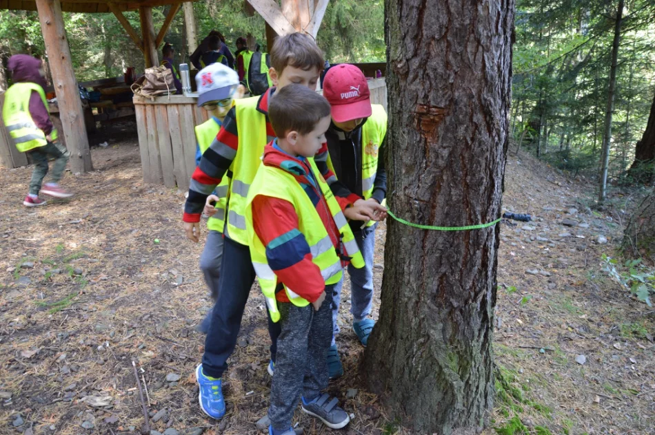 Zajęcia w leśnej szkole - zdjęcie 2