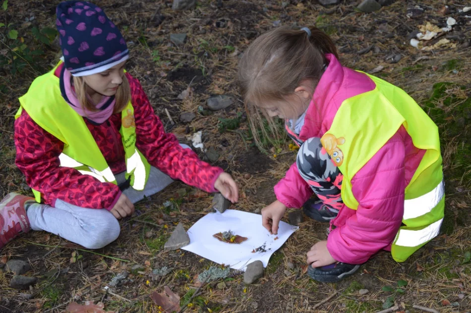 Zajęcia w leśnej szkole - zdjęcie 3