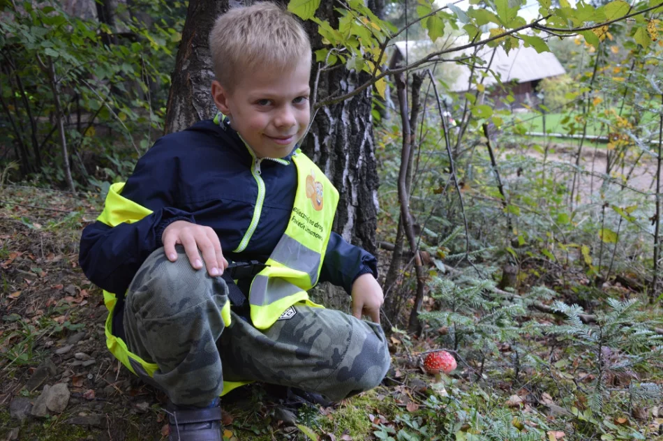 Zajęcia w leśnej szkole - zdjęcie 4