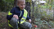Zajęcia w leśnej szkole - zdjęcie 4