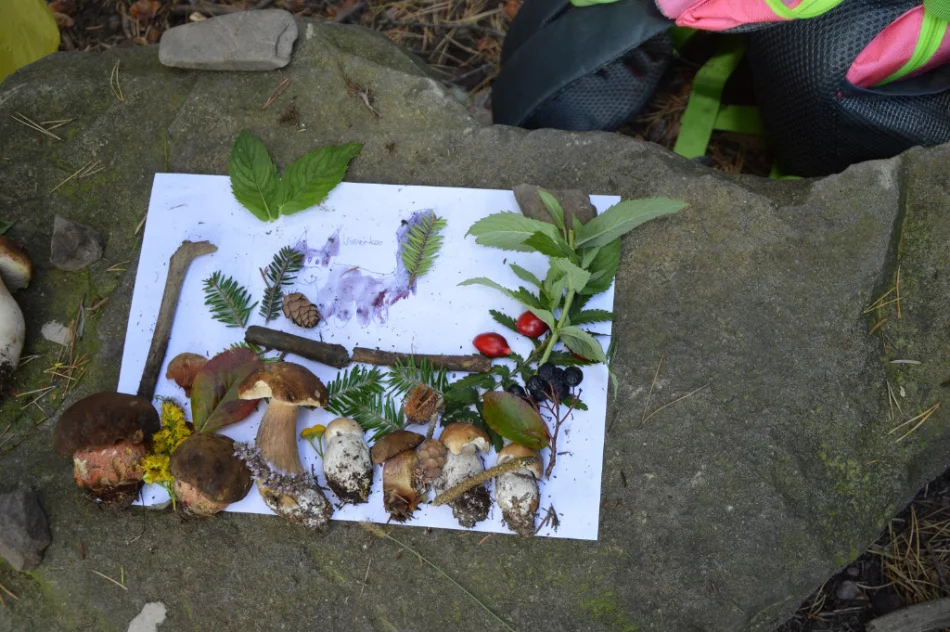 Zajęcia w leśnej szkole - zdjęcie 5