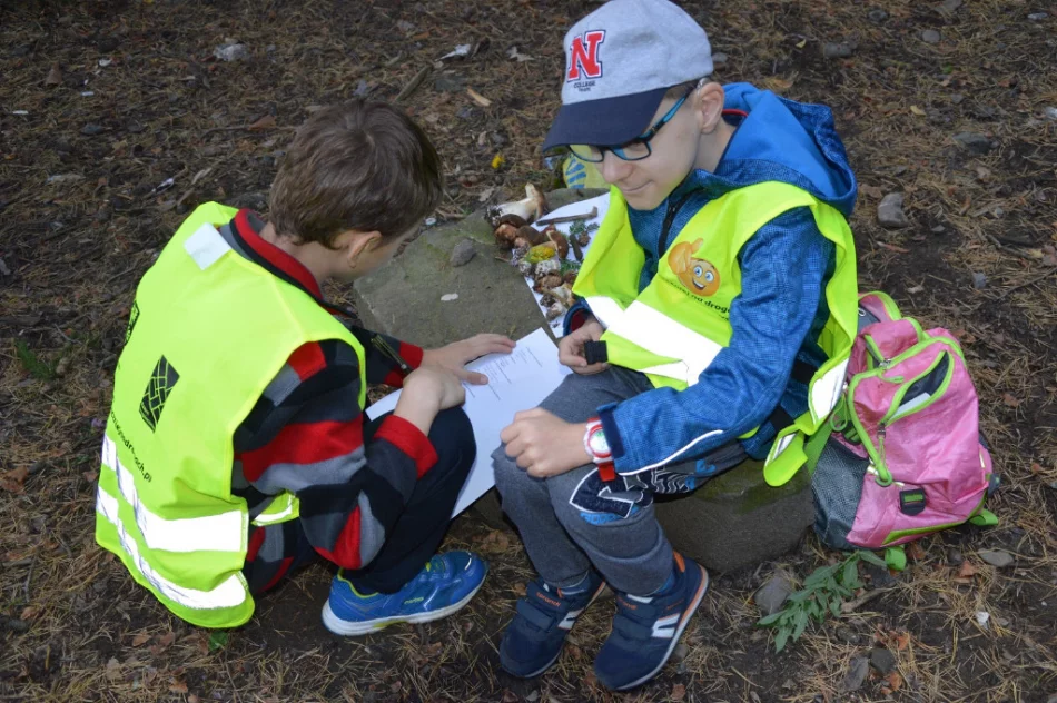 Zajęcia w leśnej szkole - zdjęcie 6