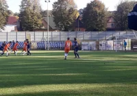 Słonie poległy od skutecznych strzałów Pawła Kuliga - zdjęcie główne