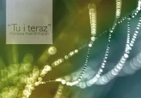 „Tu i teraz” - wernisaż wystawy makrofotografii Lidii Sułkowskiej - zdjęcie główne