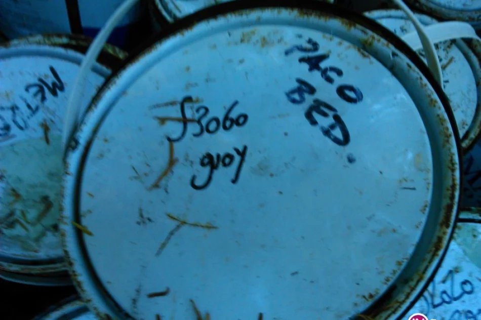 Puszki po farbach wyrzucone do lasu - zdjęcie 2