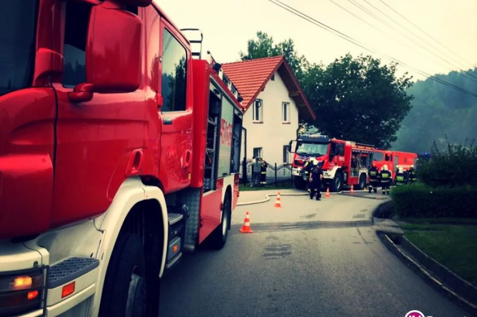 Pożar budynku gospodarczego - 35 strażaków w akcji - zdjęcie 2
