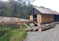 Akcenty z Limanowszczyzny w sądeckim skansenie - zdjęcie główne