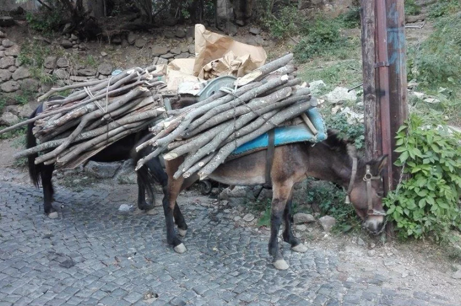 Bałkańska przygoda kasinian - zdjęcie 19