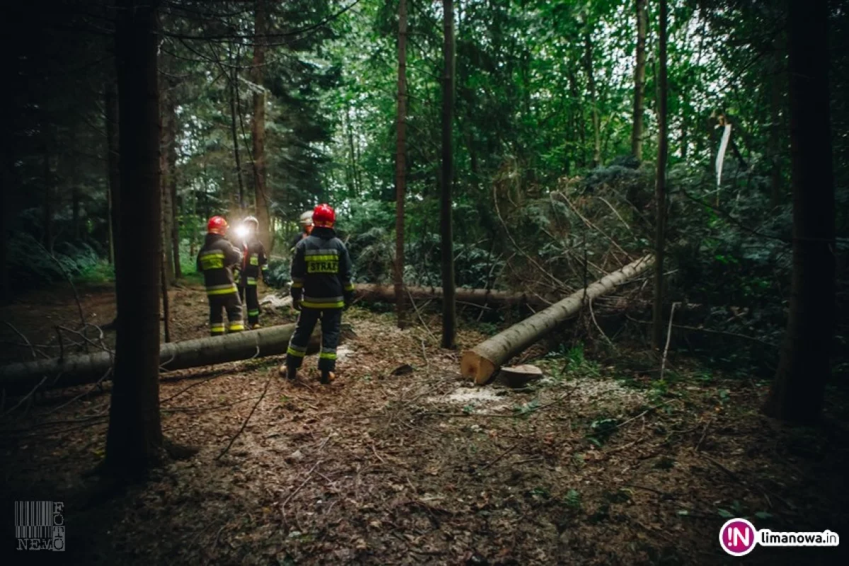Drzewo przygniotło 57-letniego mężczyznę