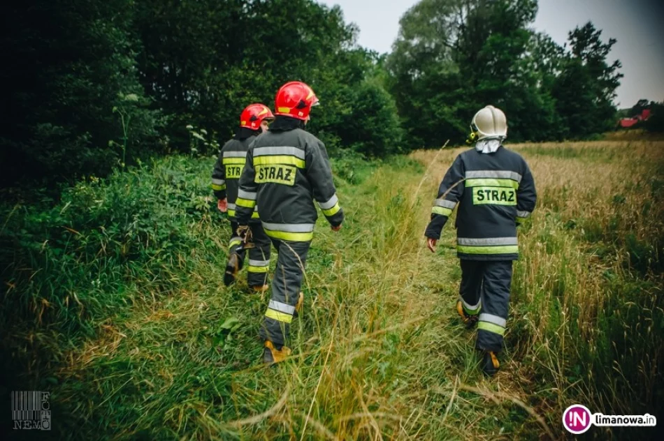 Drzewo przygniotło 57-letniego mężczyznę - zdjęcie 2