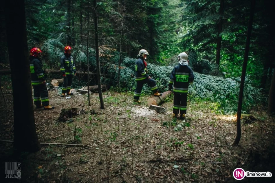 Drzewo przygniotło 57-letniego mężczyznę - zdjęcie 4