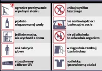 Jak przetrwać upały? - zdjęcie główne