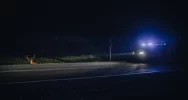 Uwaga na dziką zwierzynę - zdjęcie 4