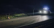 Uwaga na dziką zwierzynę - zdjęcie 5