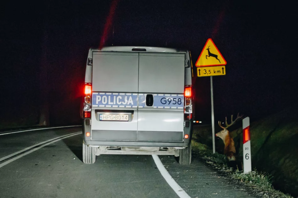 Uwaga na dziką zwierzynę - zdjęcie 7