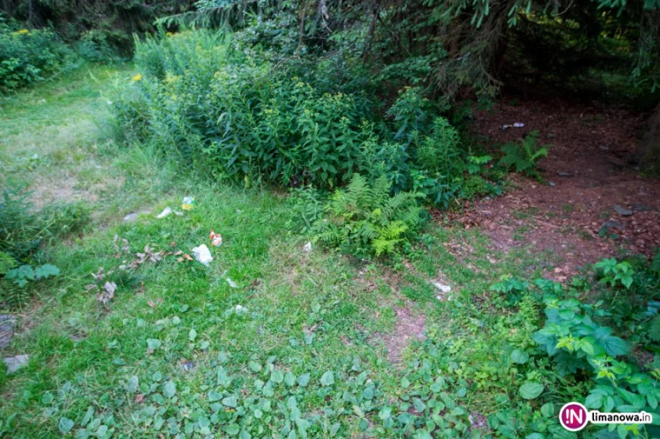 Szczyt... śmieci - zdjęcie 4