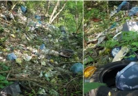 Wójt prosi o posprzątanie śmieci w prywatnych lasach i ostrzega - zdjęcie główne