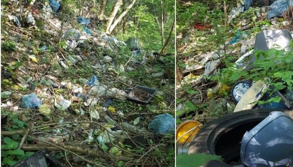 Wójt prosi o posprzątanie śmieci w prywatnych lasach i ostrzega - zdjęcie 1