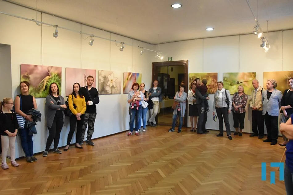 „Tu i teraz” - makrofotografia Lidii Sułkowskiej - zdjęcie 2