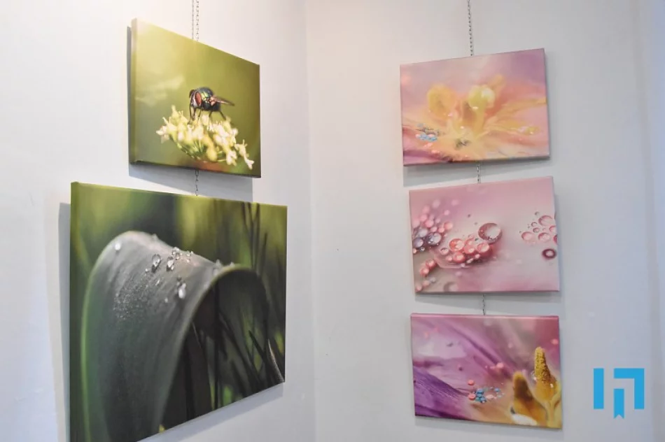 „Tu i teraz” - makrofotografia Lidii Sułkowskiej - zdjęcie 4