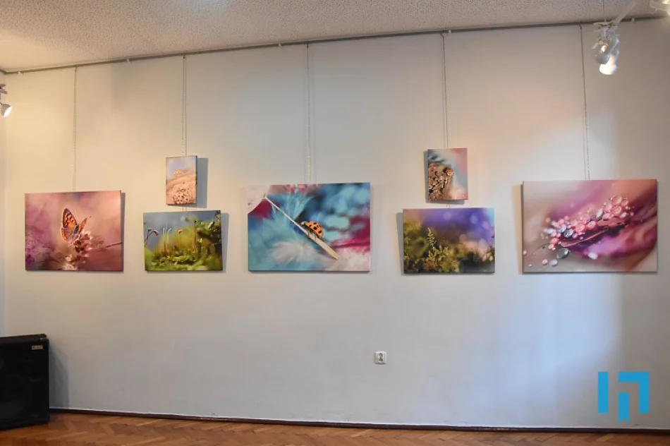 „Tu i teraz” - makrofotografia Lidii Sułkowskiej - zdjęcie 6