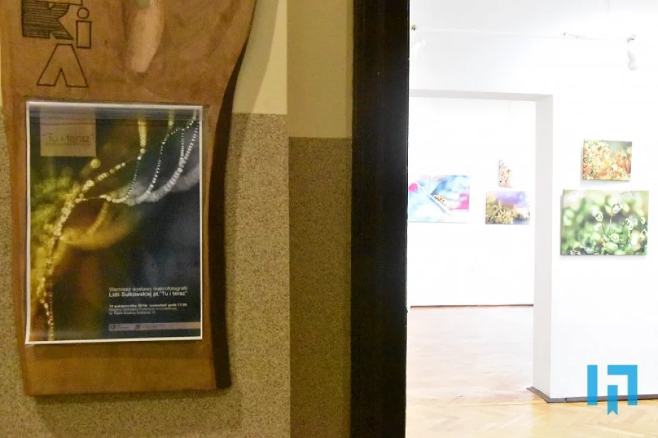 „Tu i teraz” - makrofotografia Lidii Sułkowskiej - zdjęcie 7