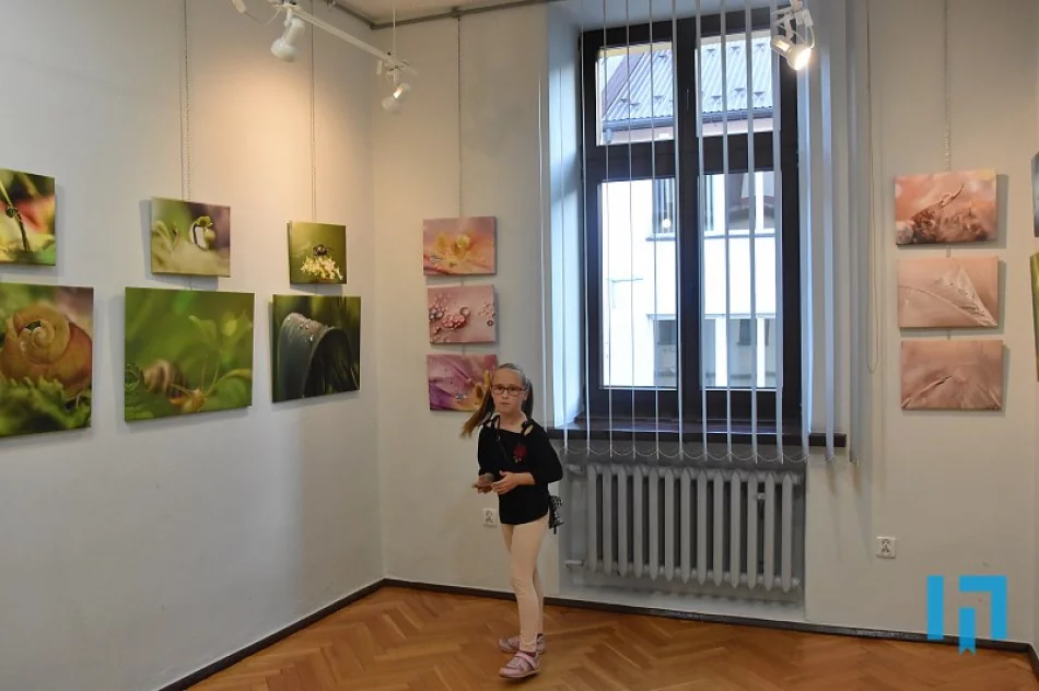 „Tu i teraz” - makrofotografia Lidii Sułkowskiej - zdjęcie 8