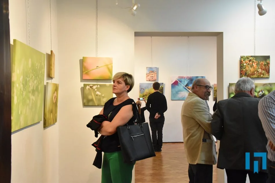 „Tu i teraz” - makrofotografia Lidii Sułkowskiej - zdjęcie 9