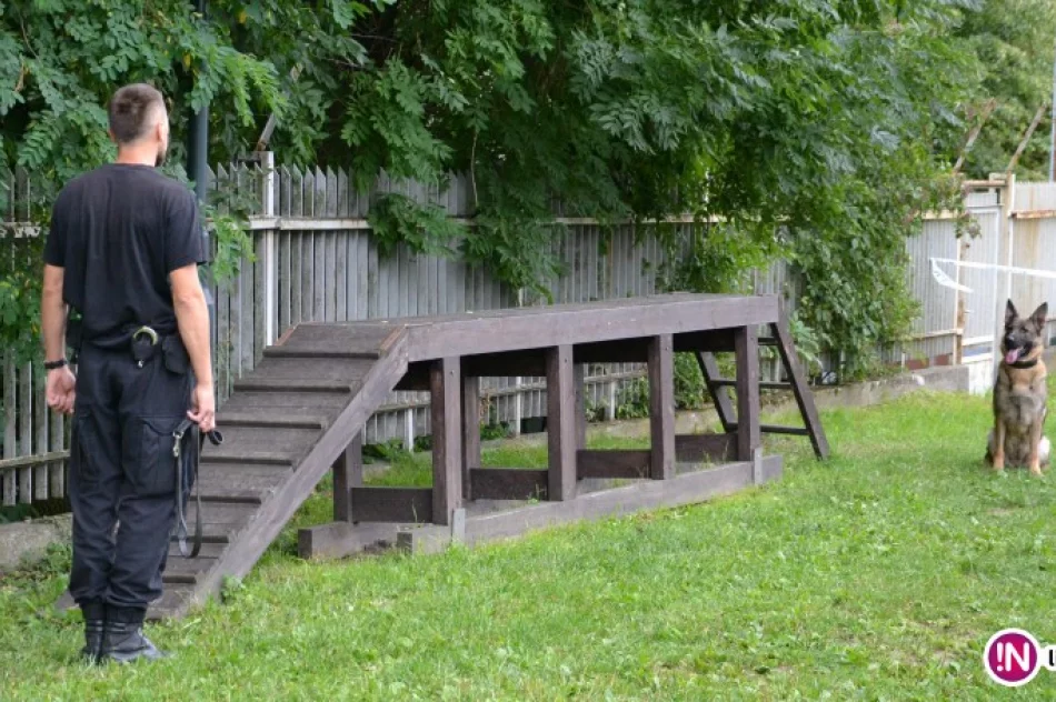 Trzecie miejsce Sławomira Sroki z KPP w Limanowej z psem „Jogo” - zdjęcie 4