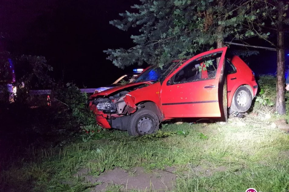Stracił panowanie nad autem i uderzył w ogrodzenie. Był pijany - zdjęcie 2