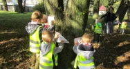 10 października 2018r przedszkolaki z MP nr 4 w dniu "Święta Drzewa" - zdjęcie 2