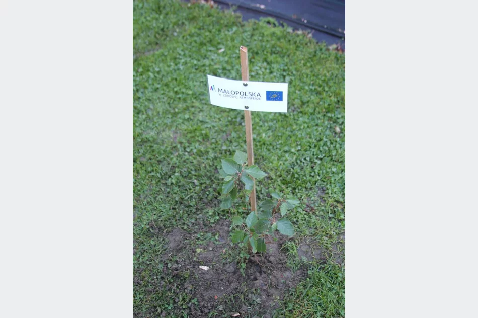 PRZEKAZANIE OCZYSZCZACZY POWIETRZA W MIEJSKICH PLACÓWKACH PRZEDSZKOLNYCH. - zdjęcie 17