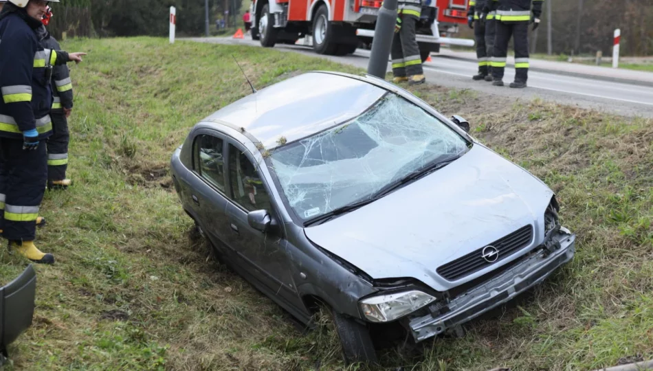 Dzikie zwierzę wtargnęło na jezdnię, samochód uderzył w latarnie i ogrodzenie - zdjęcie 1