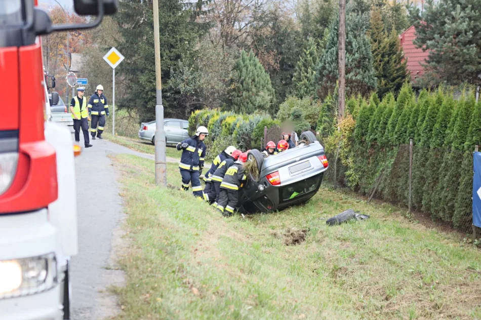 Dzikie zwierzę wtargnęło na jezdnię, samochód uderzył w latarnie i ogrodzenie - zdjęcie 2