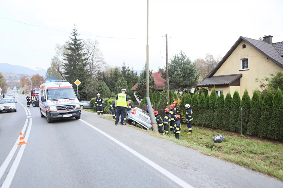 Dzikie zwierzę wtargnęło na jezdnię, samochód uderzył w latarnie i ogrodzenie - zdjęcie 3