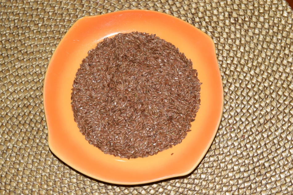 Len, siemię lniane i olej - zdjęcie 5