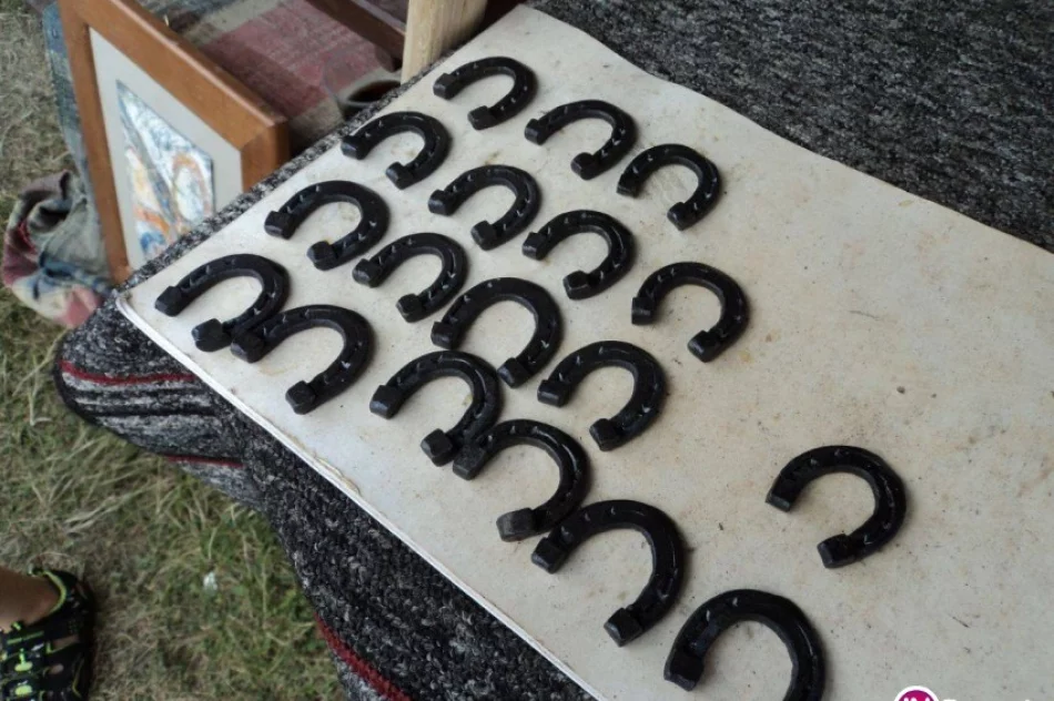 Kowale z Limanowszczyzny na międzynarodowym festiwalu - zdjęcie 2