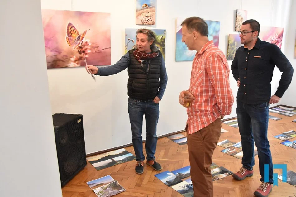 Informacja o konkursie fotograficznym - zdjęcie 2