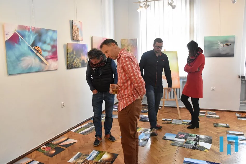 Informacja o konkursie fotograficznym - zdjęcie 4