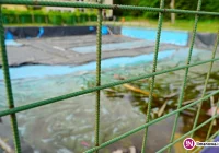 Będą upały, nie będzie basenu - zdjęcie główne