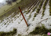 Ulewny deszcz i gradobicie - zdjęcie główne