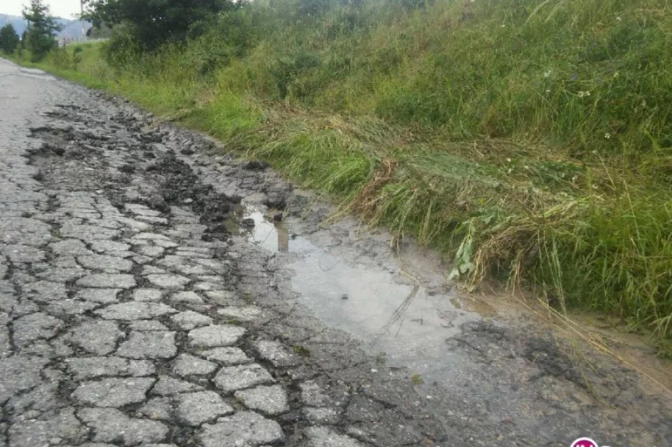 Ulewny deszcz i gradobicie - zdjęcie 4