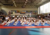 21 medali – 3 miejsce drużynowo dla Goliński Team na IV Międzynarodowym Grand Prix Beskidów w Wilkowicach - zdjęcie główne