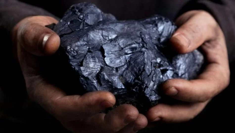 Cena węgla ma wynosić 966 zł za tonę - zdjęcie 1