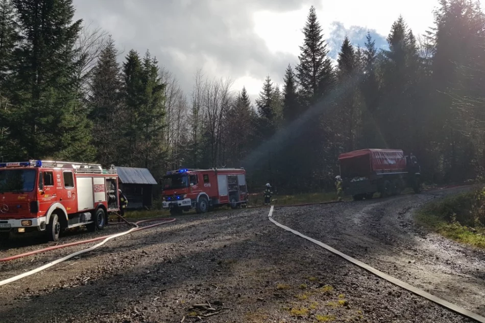 Strażacy ćwiczyli gaszenie pożaru lasu - zdjęcie 2