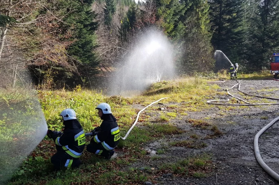 Strażacy ćwiczyli gaszenie pożaru lasu - zdjęcie 3
