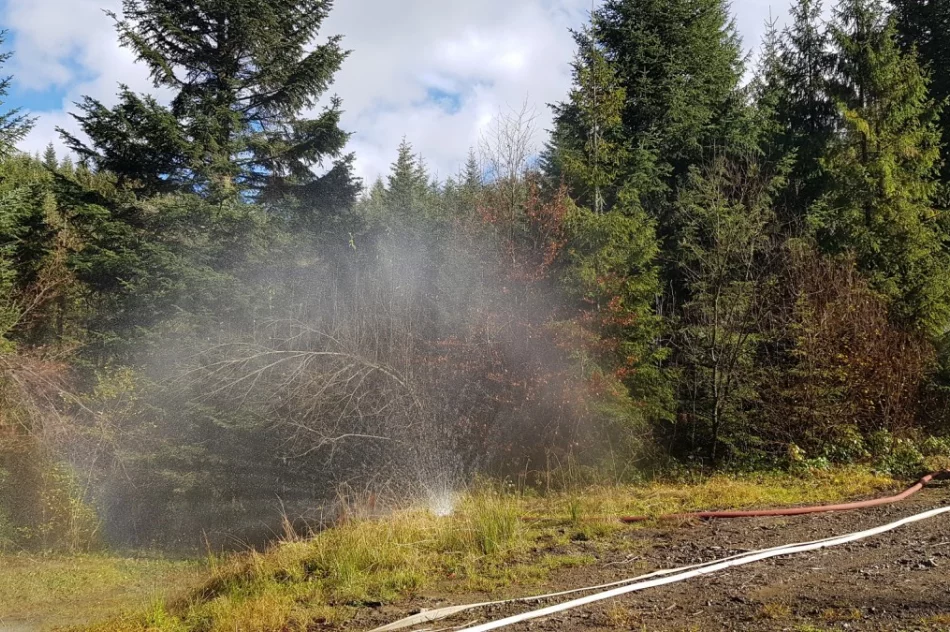 Strażacy ćwiczyli gaszenie pożaru lasu - zdjęcie 4