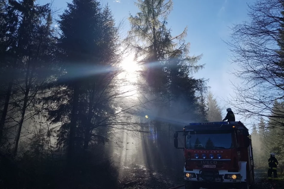 Strażacy ćwiczyli gaszenie pożaru lasu - zdjęcie 5